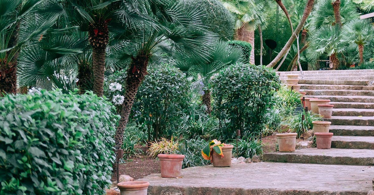 Clay pots decorating aged stone stairs surrounding by lush green tropical plants and trees in Jardines de Alfabia garden